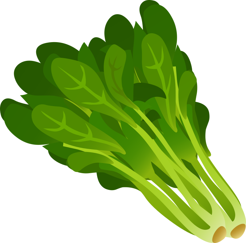 Food Spinach