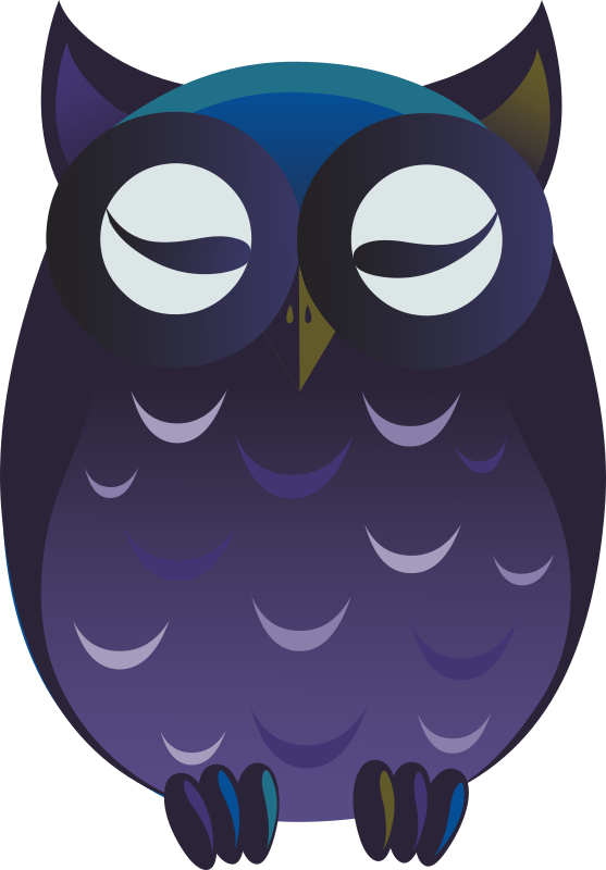 Ilmenskie Owl 1
