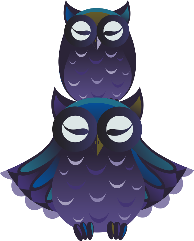 Ilmenskie Owl 2