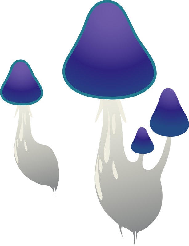 Ilmenskie Purple Mushroom 1