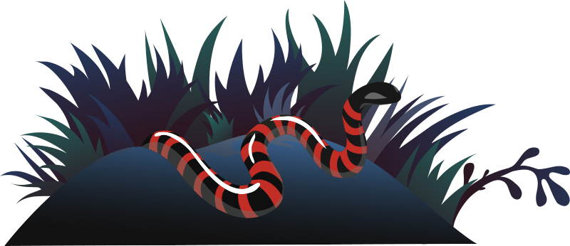 Ilmenskie Snake 1