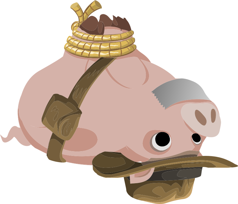 Inhabitants Hogtied Piggy Explorer