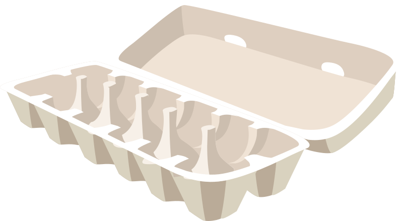 Misc Egg Carton