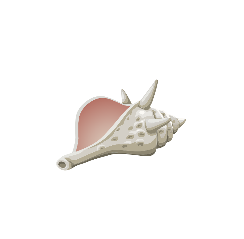 Quest Items Conch Decoy