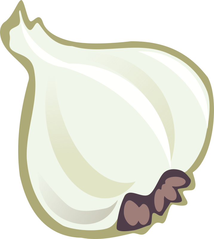 garlic