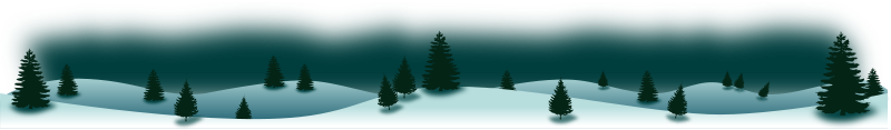 Winter Forest Panorama