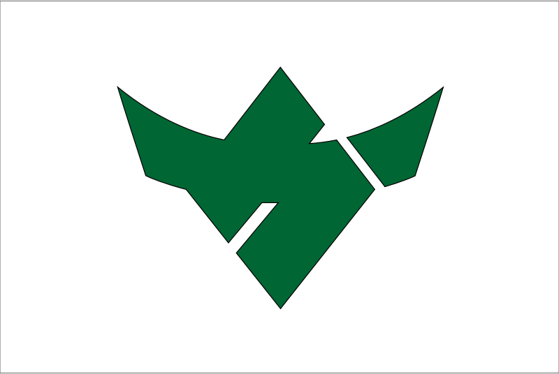 Flag of Kamitakara, Gifu