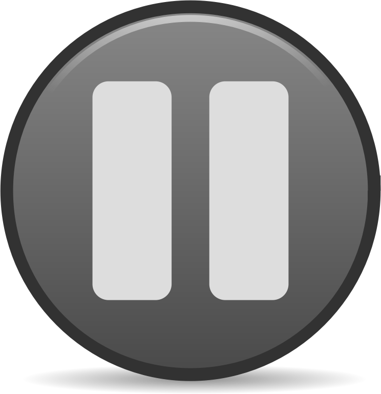 Paused Emblem Icon