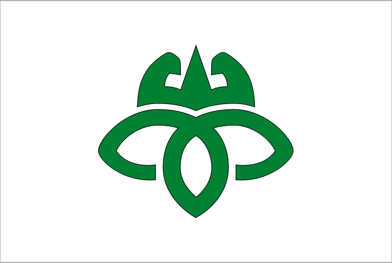 Flag of Iwamura, Gifu