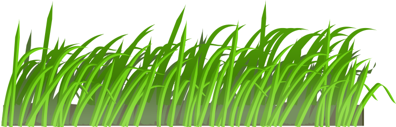 Grass texture