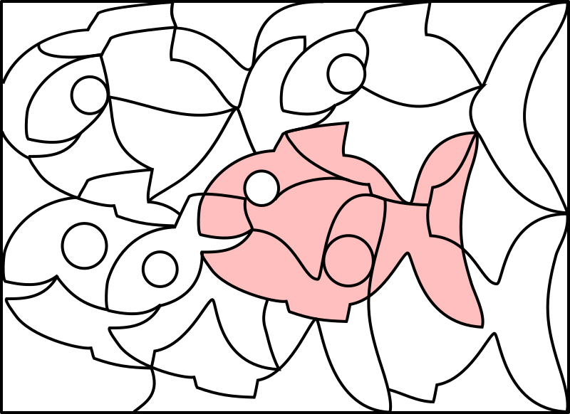 Solution Image Fish