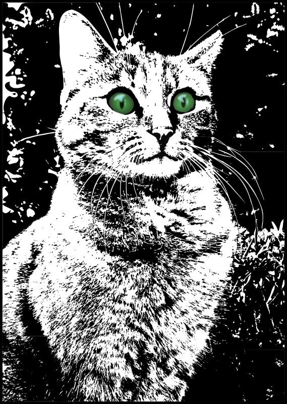 Cat with green eyes