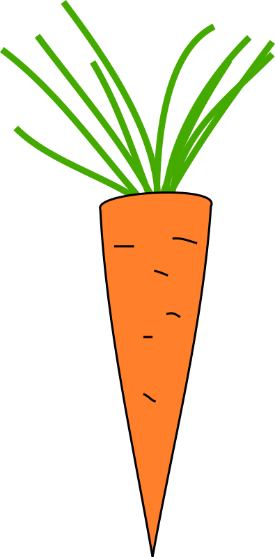 Carrot