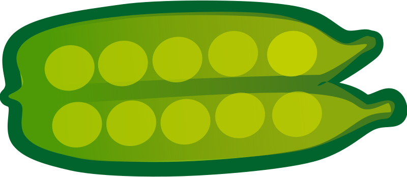 vegetables set