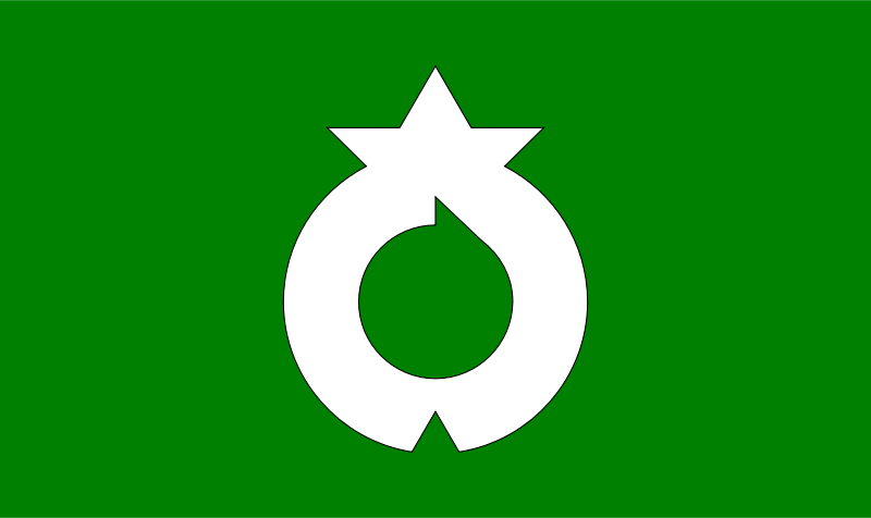 Flag of Miwa, Hiroshima (Jinseki)