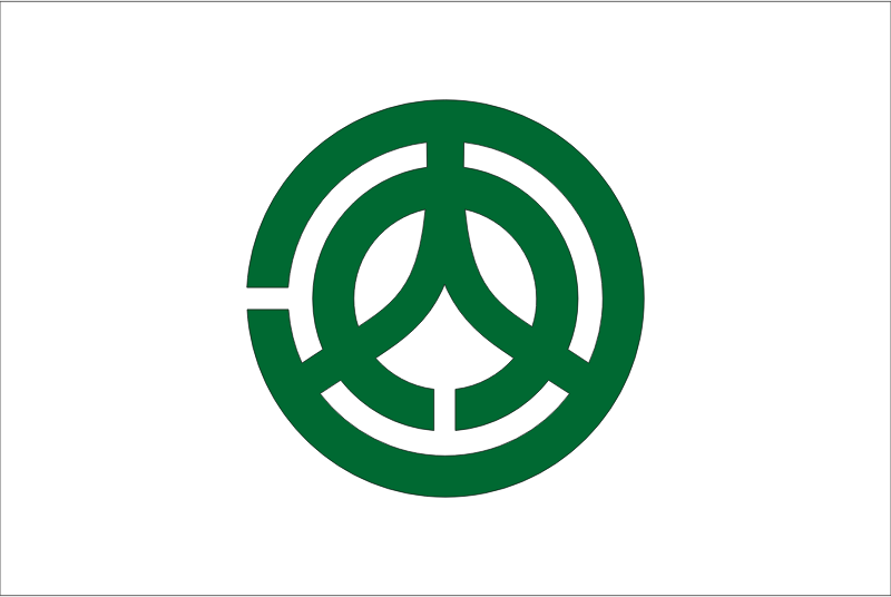 Flag of Kochi, Hiroshima