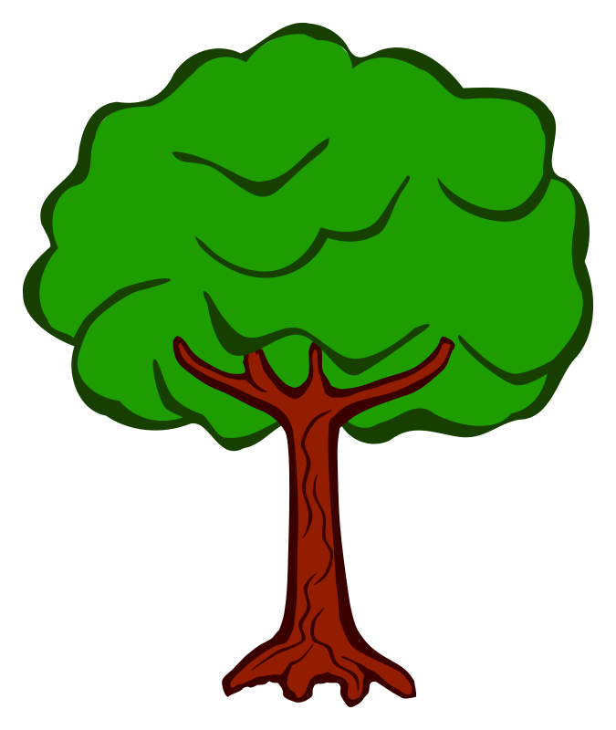 tree - coloured