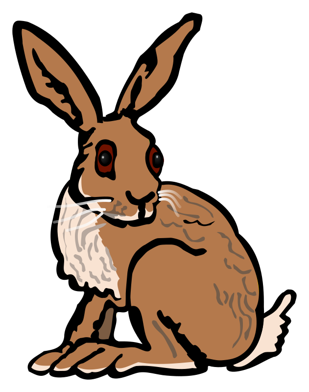 Hare - coloured