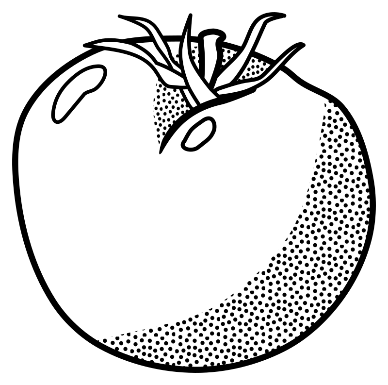 tomato - lineart