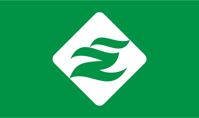 Flag of Esashi, Soya, Hokkaido (green version)