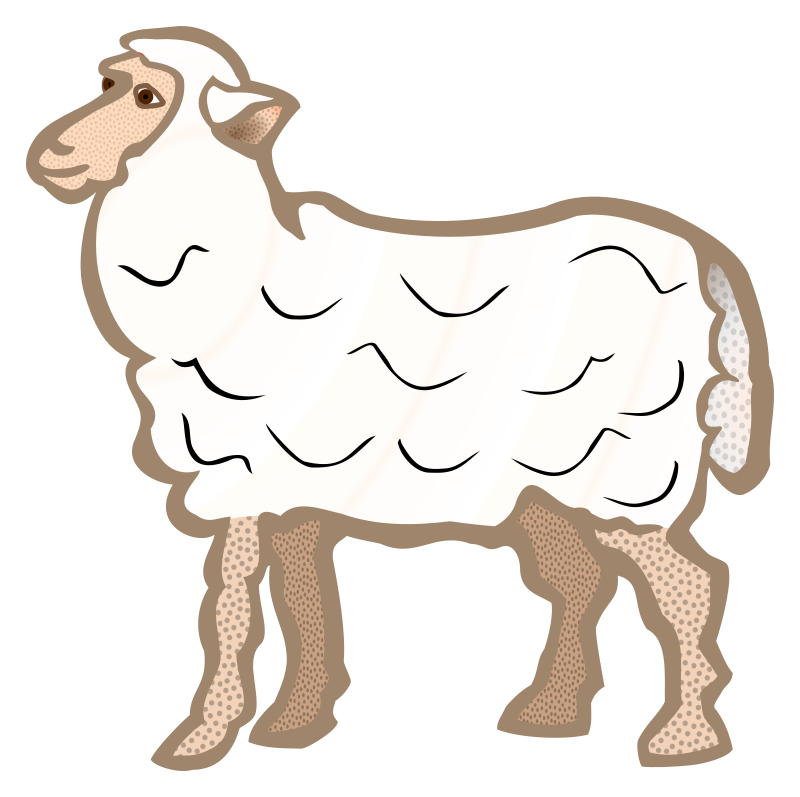 sheep - coloured