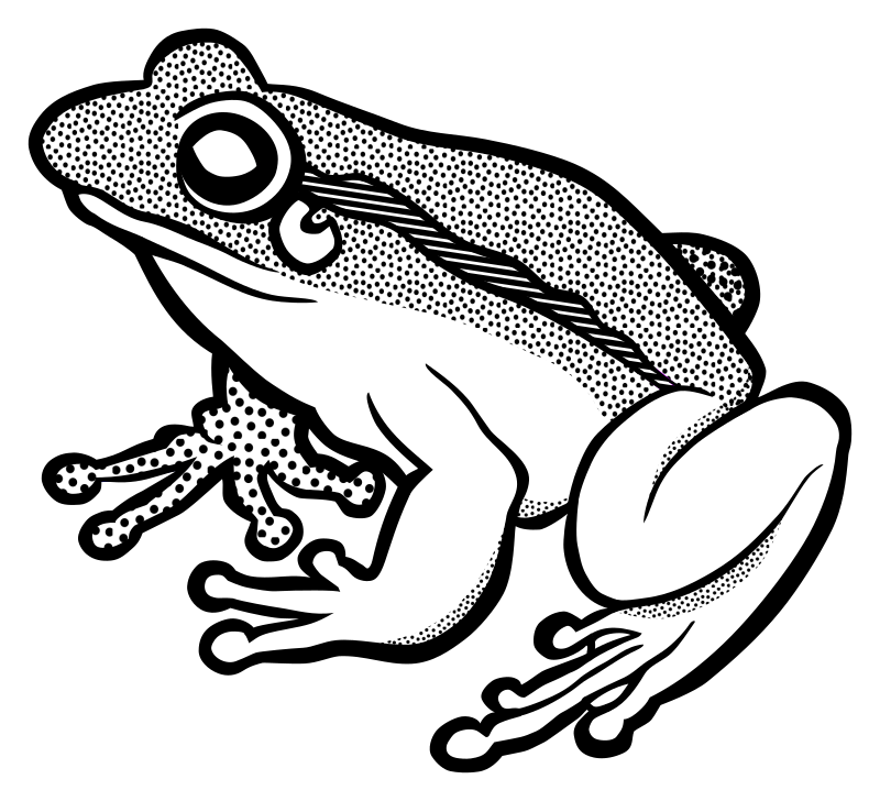 frog - lineart - Openclipart