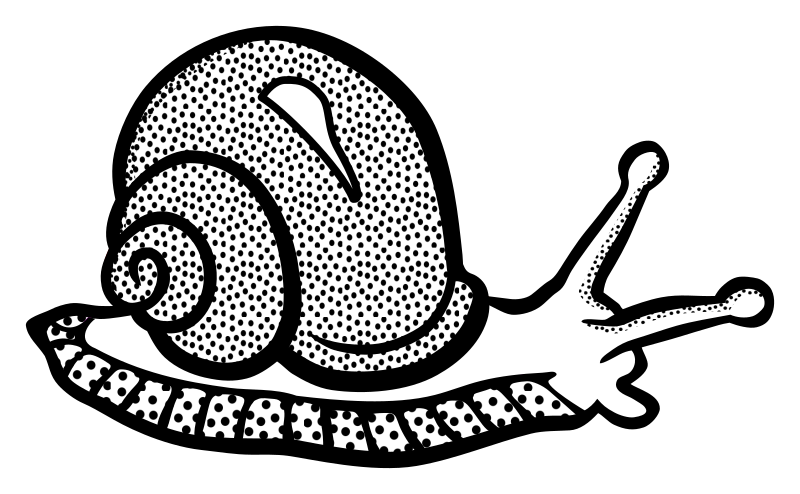 snail - lineart