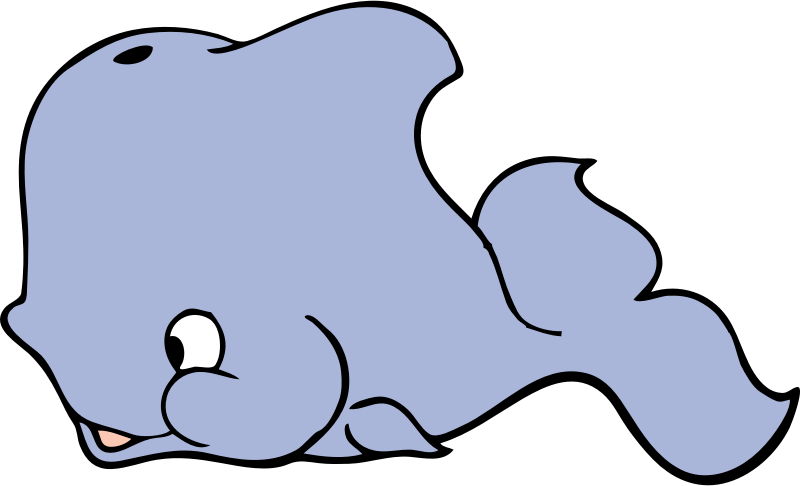 cute whale