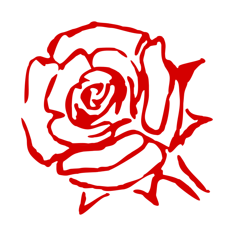 rose