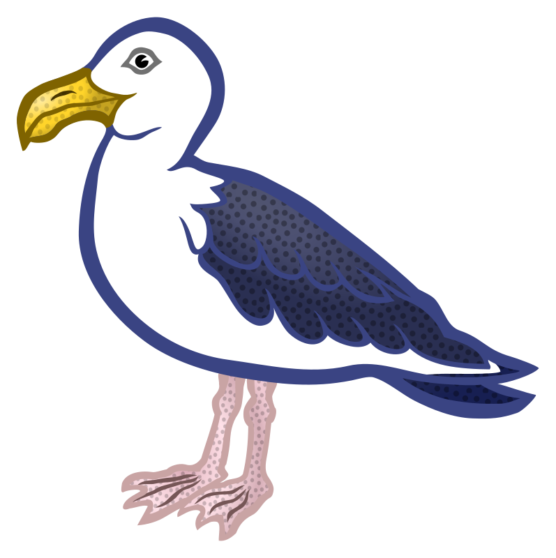 gull - coloured