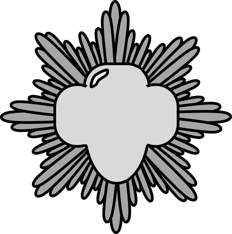 Silver Award Pin