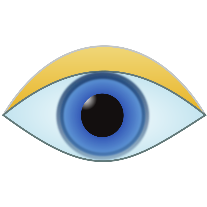 eye