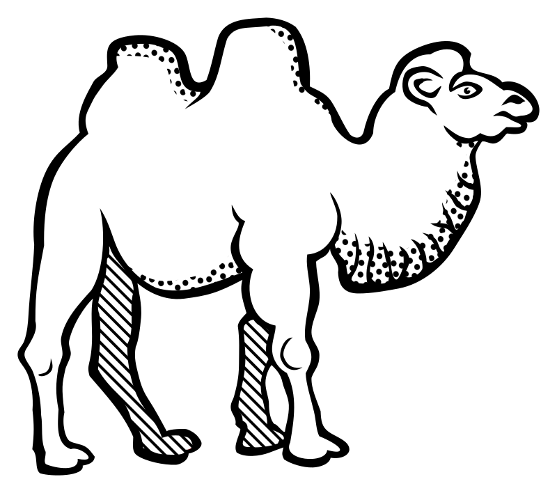 camel - lineart