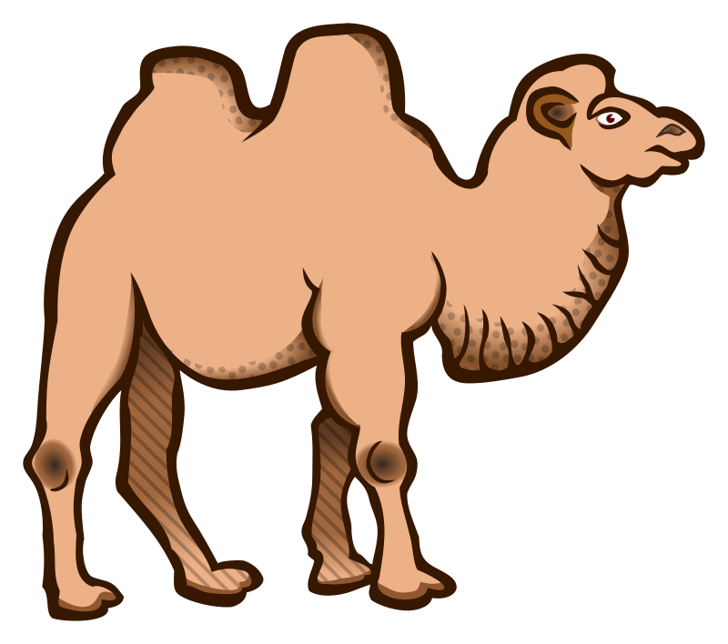 camel - coloured