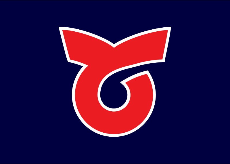 Flag of Toi, Hokkaido