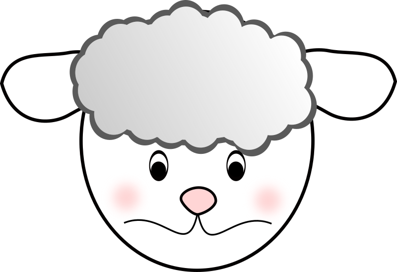 Sheep sad