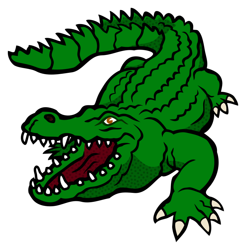 crocodile - coloured