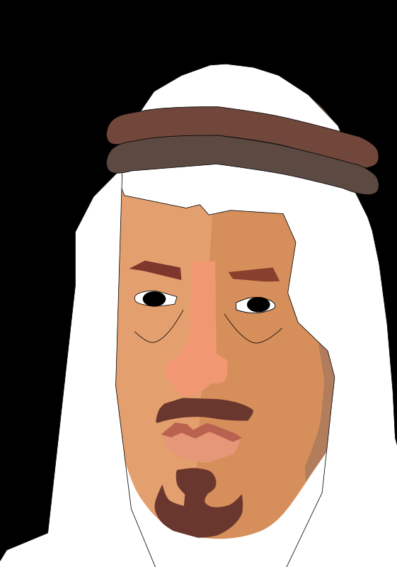 sultan bin abdulaziz