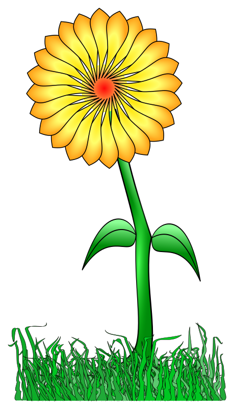 Flower for a friend