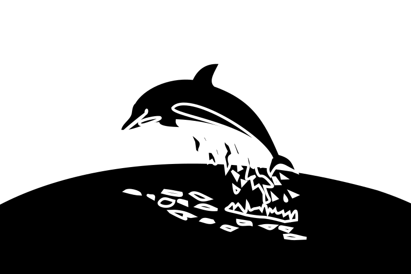 dolphin black