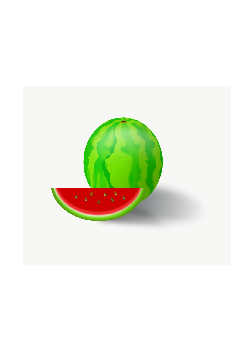 Watermelon vector fruit