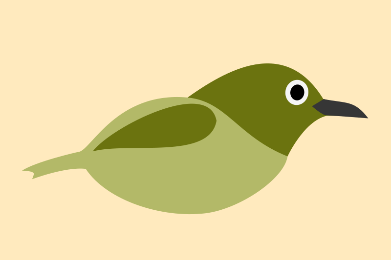 Bird called white-eye