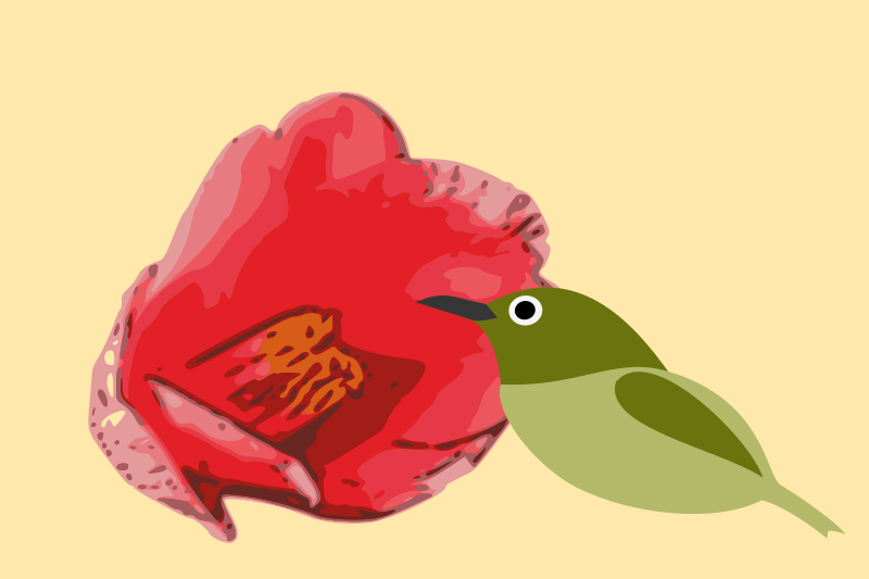 Camellia with Bird