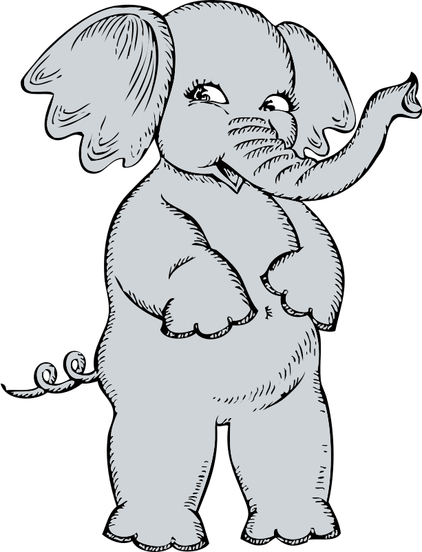 girl elephant