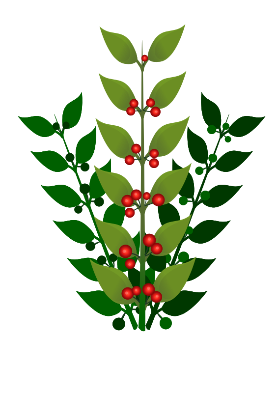 A simple branch with berries