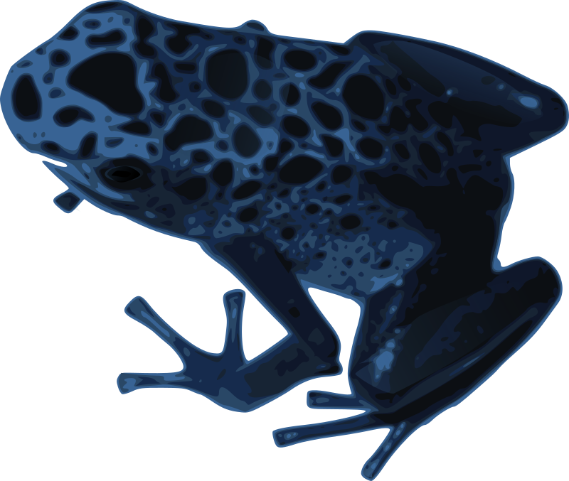 Azureus frog