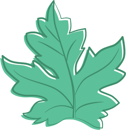 Maple leaf