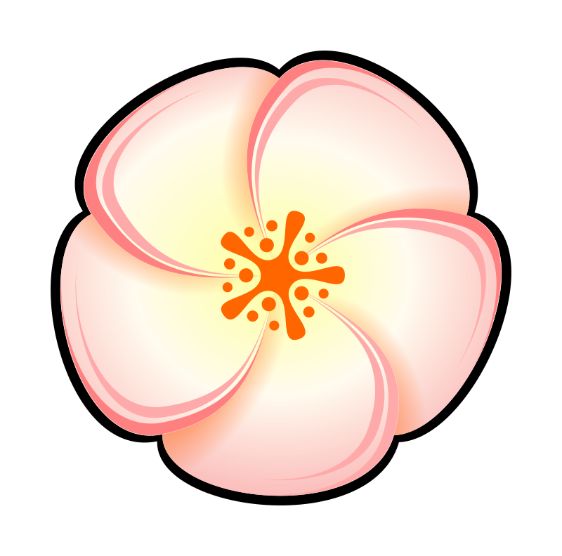 Flower iteration #5