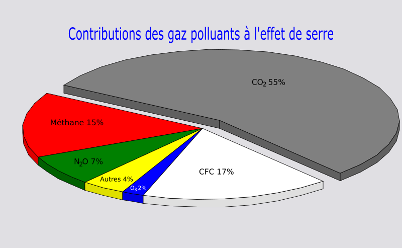 French Pie Chart