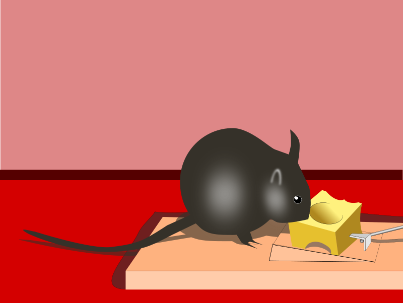 Mouse with trap